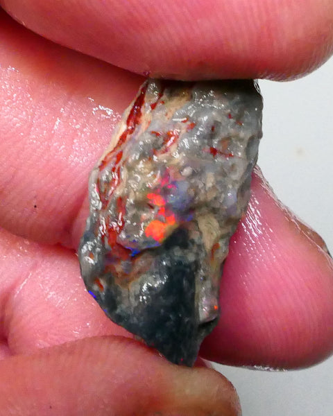 Lightning Ridge Dark Base opal formation 13.50cts Reds anyone ? 26x13x10mm   Lot B4-A309