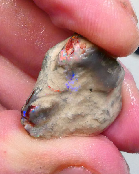 Bits of Reds & Blues Lightning Ridge opal rough formation 18.00cts Sand/clay host rock Collect or carve 25x23x8mm  Lot B4-A294