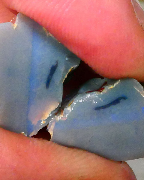 Dark Base knobby opal rough split 28.00cts some Light Blue fires in the bars to chase & Explore 20x15x10mm & 18x12x10mm Lot B4-A399