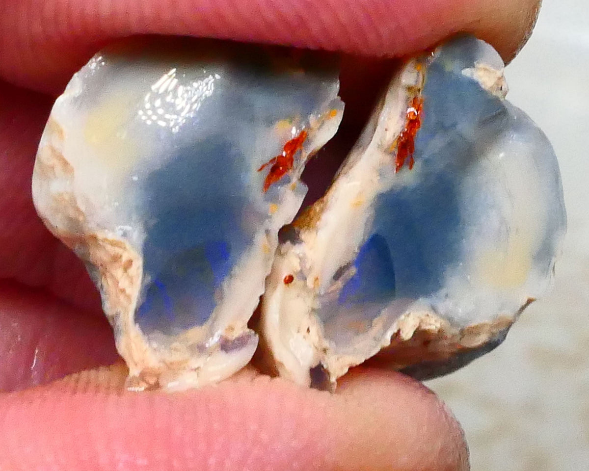 Lightning Ridge Dark base knobby opal rough split 15.00cts tiny bits of colour only 17x13x10mm & 17x11x7mm  Lot B4-A391