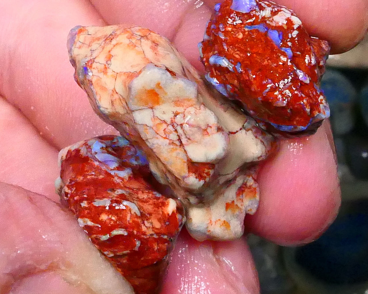 knobby opal rough Trio Lightning Ridge 40.00cts Blue colours to Collect or carve & explore 28x15x9mm & 16x12x10mm  Lot B4-A441