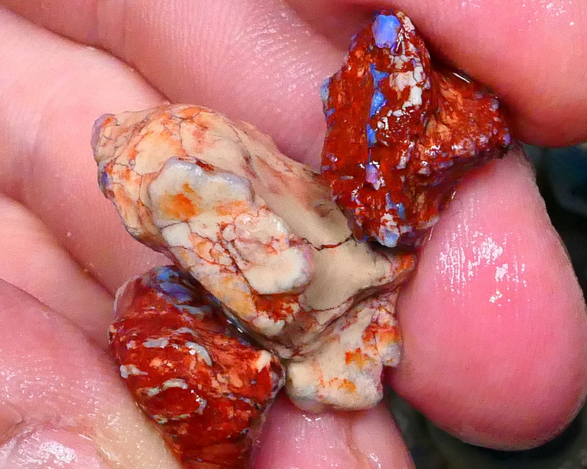 knobby opal rough Trio Lightning Ridge 40.00cts Blue colours to Collect or carve & explore 28x15x9mm & 16x12x10mm  Lot B4-A441