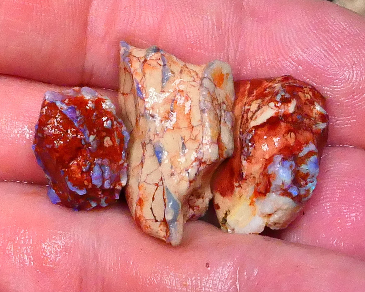 knobby opal rough Trio Lightning Ridge 40.00cts Blue colours to Collect or carve & explore 28x15x9mm & 16x12x10mm  Lot B4-A441
