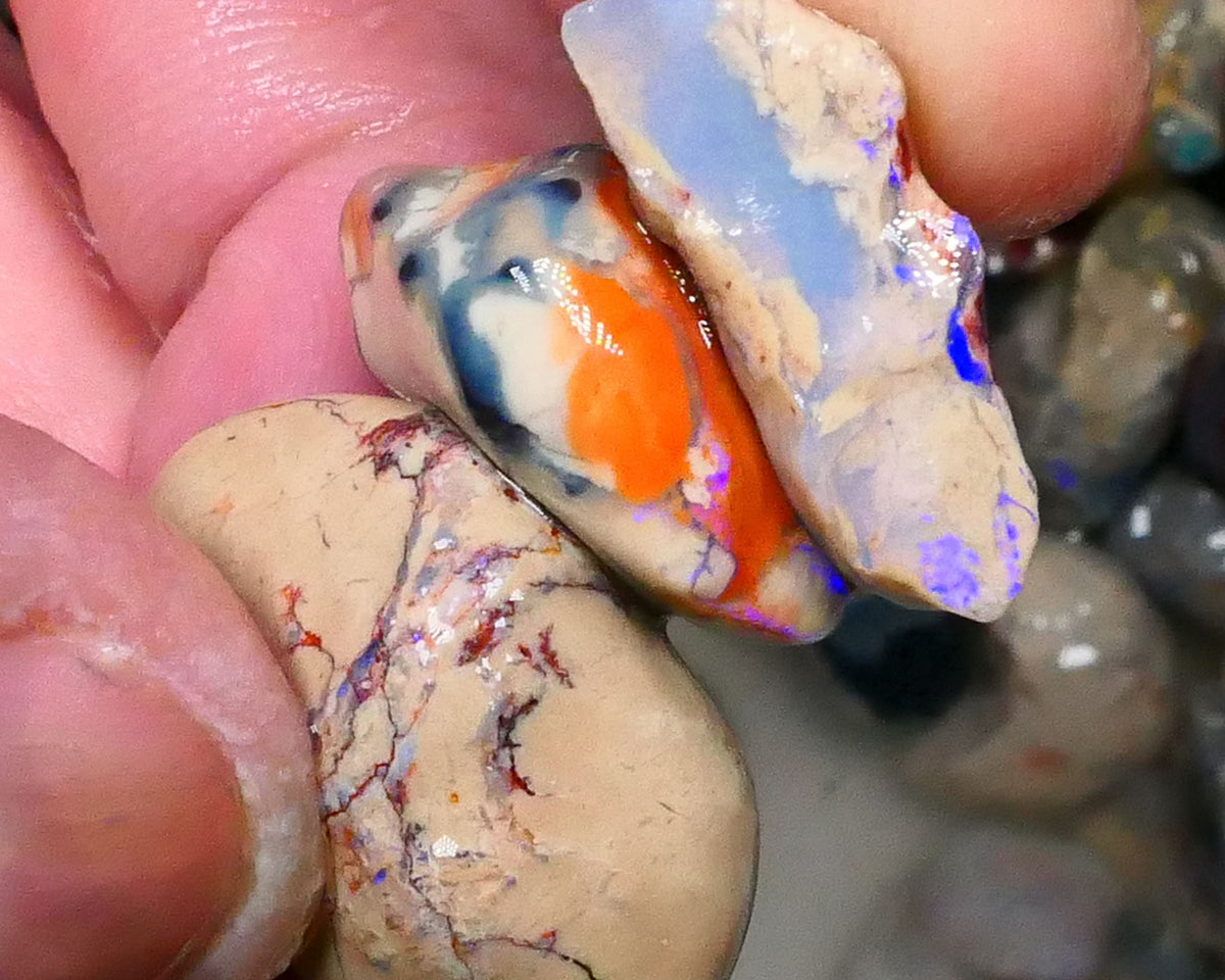 Knobby opal rough Trio from Lighting Ridge 42.00cts Some Blues colours to Explore & Gamble 24x17x11mm & 19x15x12mm  Lot B4-A442