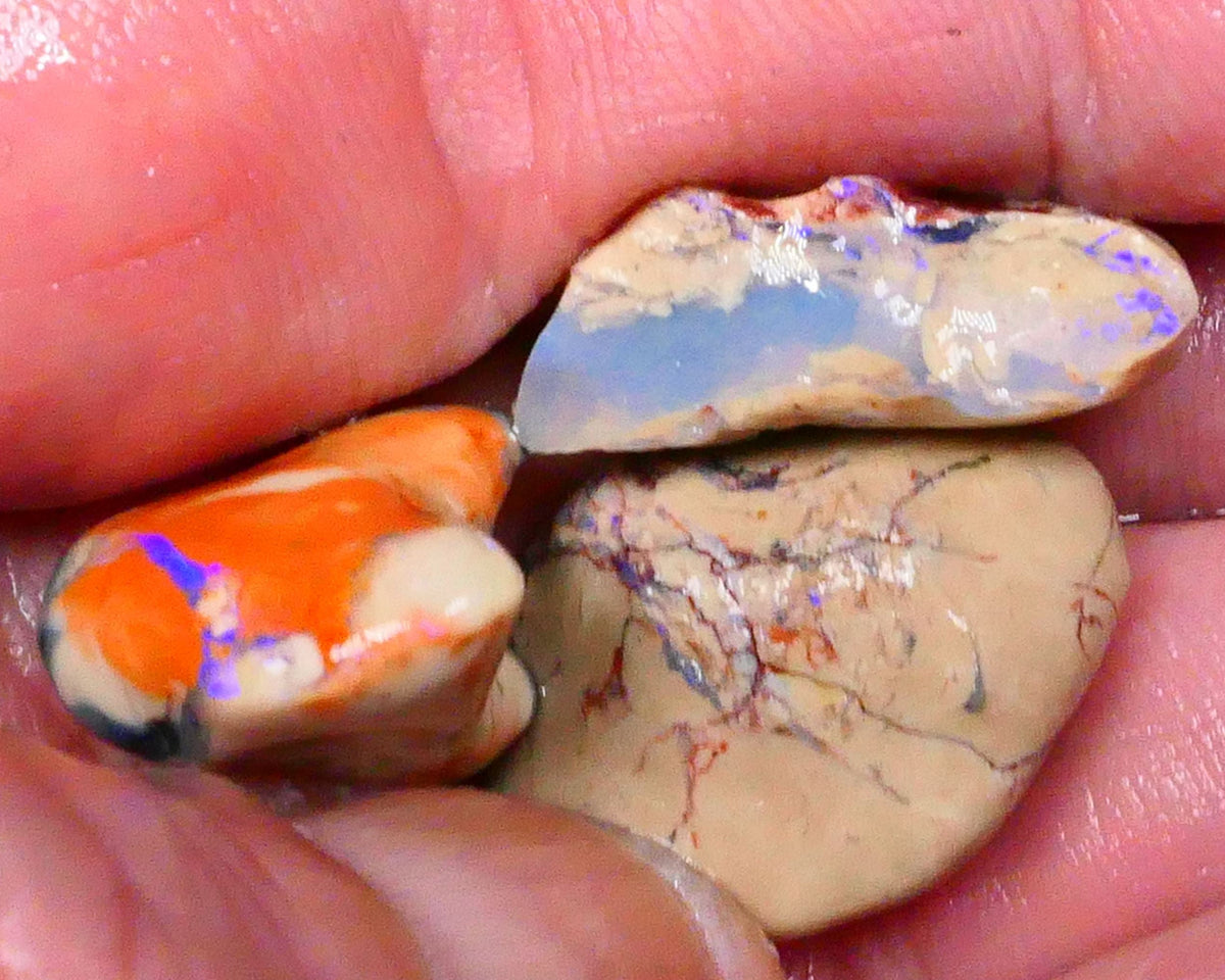 Knobby opal rough Trio from Lighting Ridge 42.00cts Some Blues colours to Explore & Gamble 24x17x11mm & 19x15x12mm  Lot B4-A442