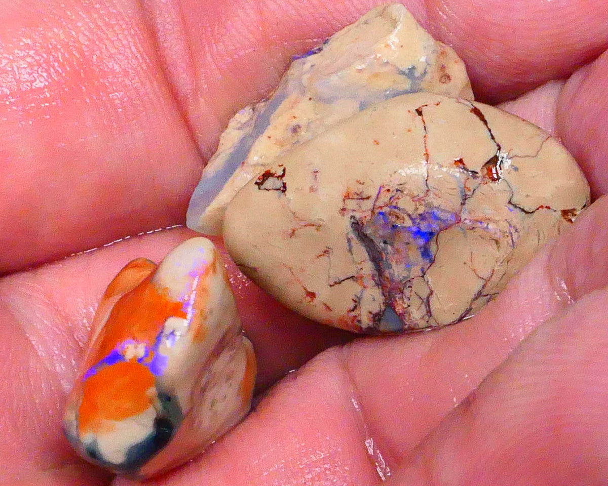 Knobby opal rough Trio from Lighting Ridge 42.00cts Some Blues colours to Explore & Gamble 24x17x11mm & 19x15x12mm  Lot B4-A442