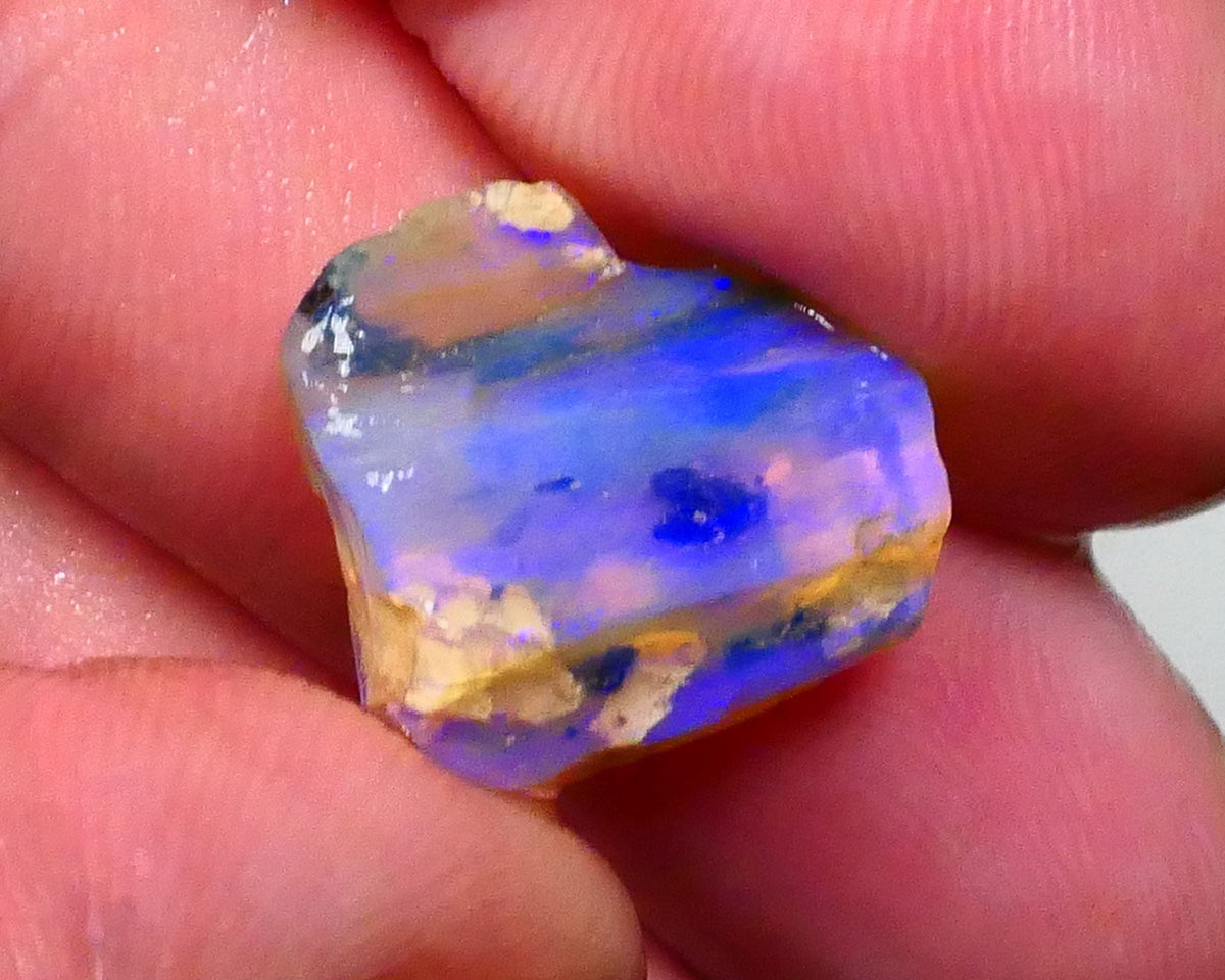 Gorgeous Blues on this Opalised Wood Fossil opal rough 9.50cts Lighting Ridge Material to cut & Polish 16x15x6mm  Lot B4-A447