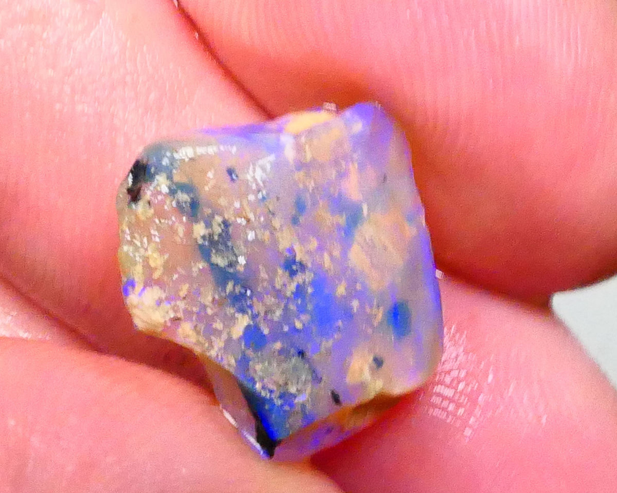 Gorgeous Blues on this Opalised Wood Fossil opal rough 9.50cts Lighting Ridge Material to cut & Polish 16x15x6mm  Lot B4-A447