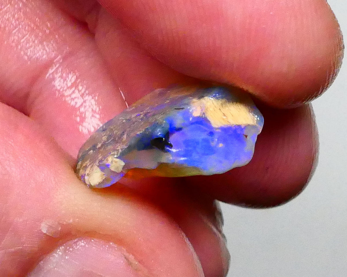 Gorgeous Blues on this Opalised Wood Fossil opal rough 9.50cts Lighting Ridge Material to cut & Polish 16x15x6mm  Lot B4-A447