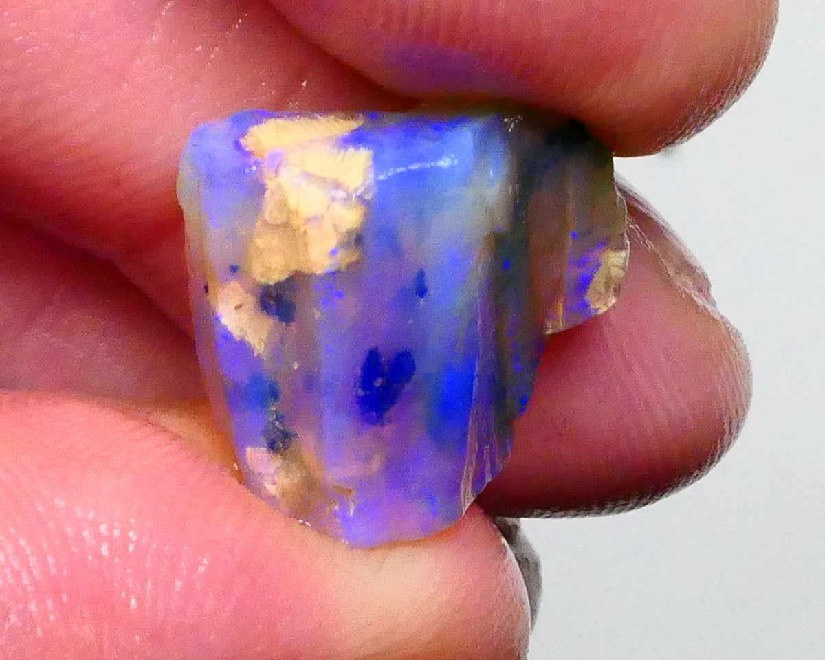 Gorgeous Blues on this Opalised Wood Fossil opal rough 9.50cts Lighting Ridge Material to cut & Polish 16x15x6mm  Lot B4-A447