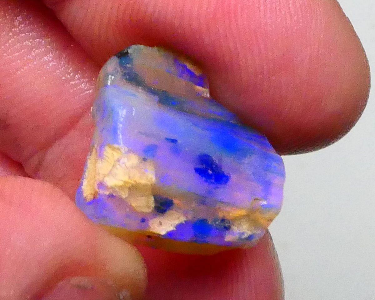 Gorgeous Blues on this Opalised Wood Fossil opal rough 9.50cts Lighting Ridge Material to cut & Polish 16x15x6mm  Lot B4-A447