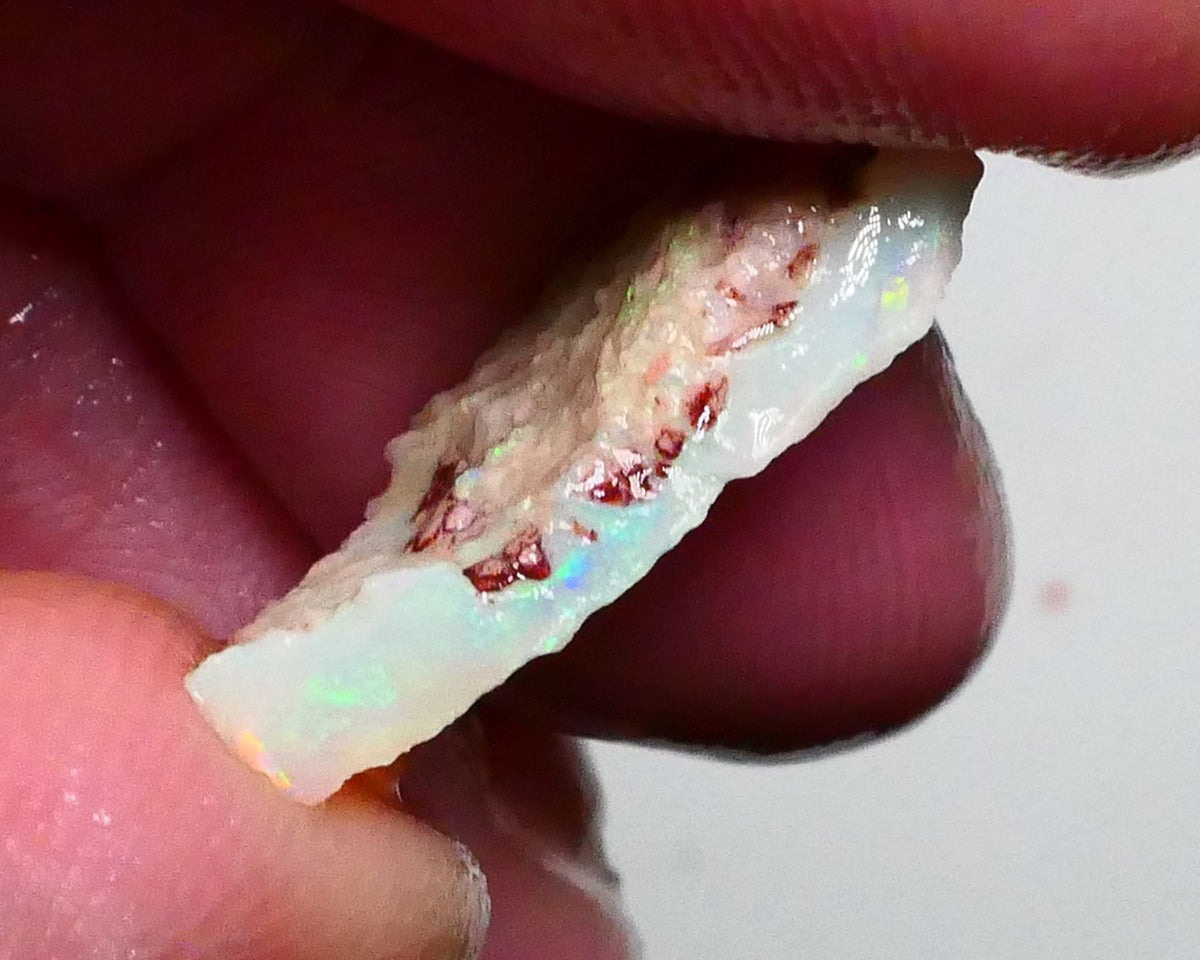 Multicolour seam opal rough of Lightning Ridge 6.50cts Thin bar to work 21x13x5mm  Lot B4-A457