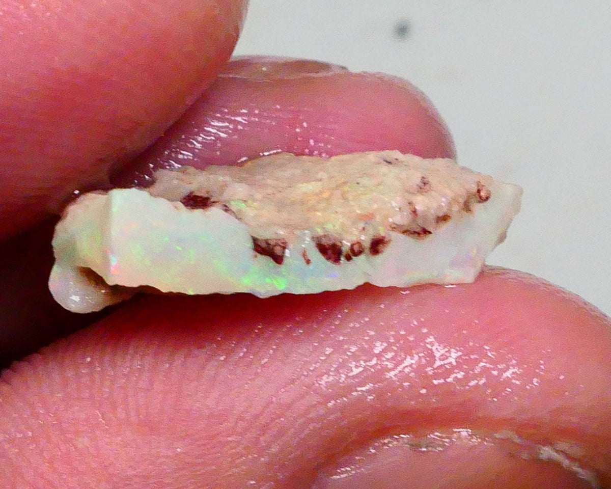 Multicolour seam opal rough of Lightning Ridge 6.50cts Thin bar to work 21x13x5mm  Lot B4-A457
