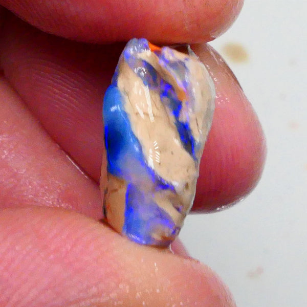 Bright Blues on this Knobby opal formation rough 11.50cts Carve Gamble or collect ? 19x16x7mm  Lot B4-A467