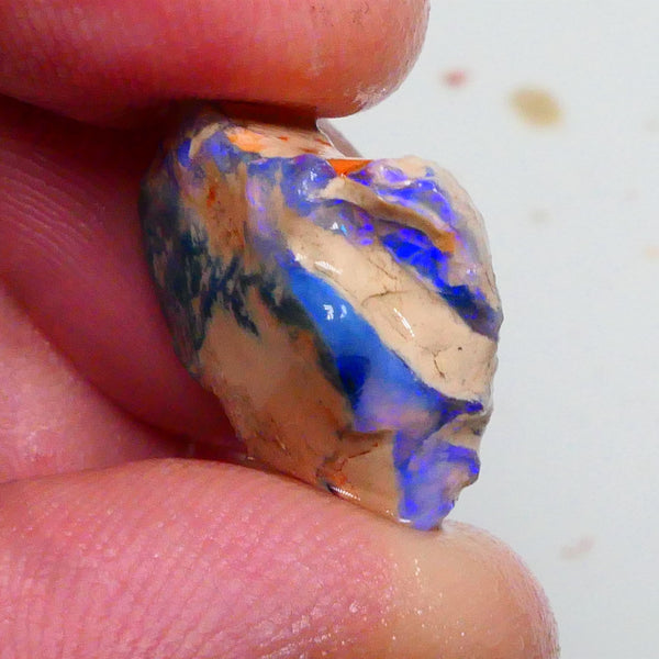 Bright Blues on this Knobby opal formation rough 11.50cts Carve Gamble or collect ? 19x16x7mm  Lot B4-A467