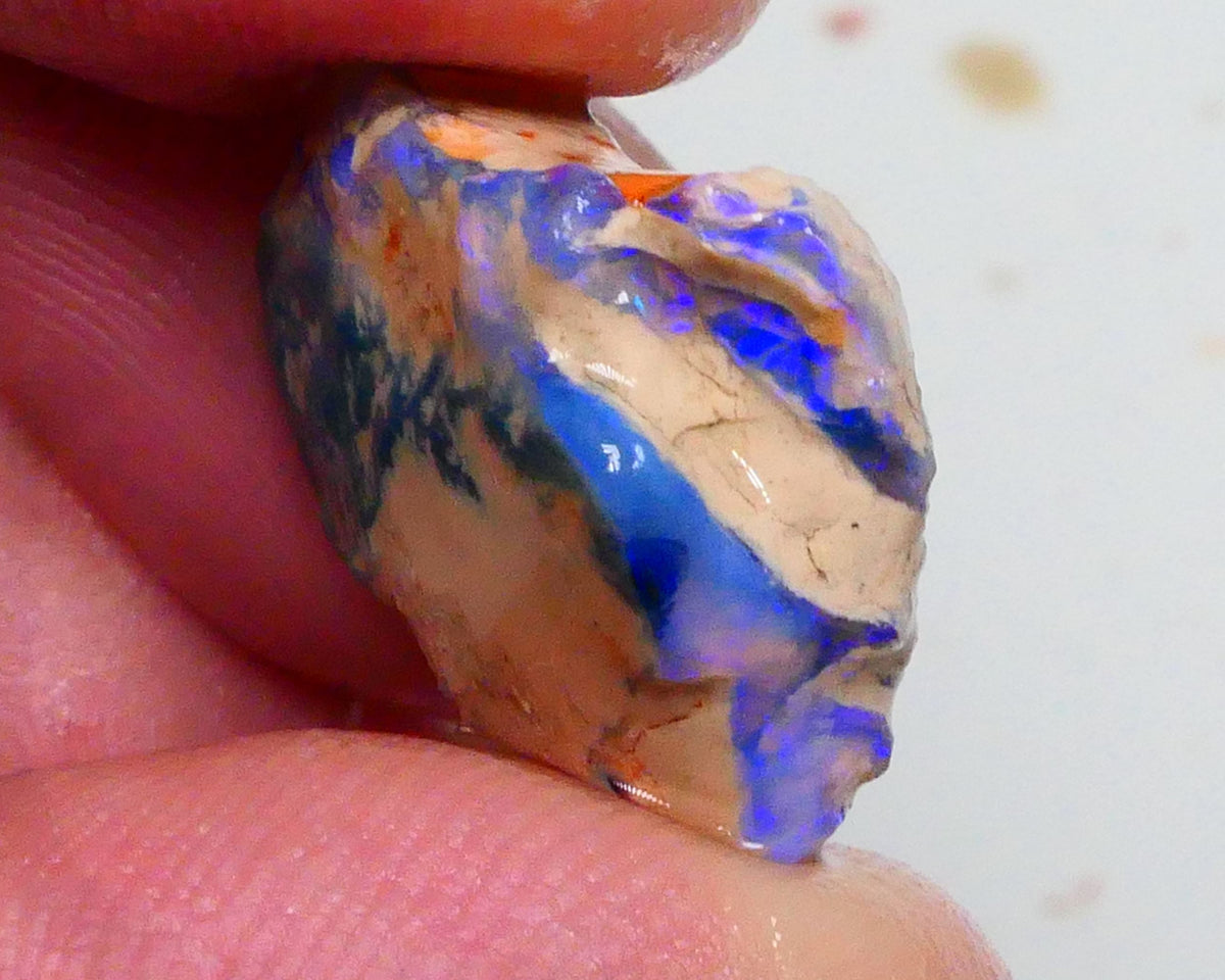 Bright Blues on this Knobby opal formation rough 11.50cts Carve Gamble or collect ? 19x16x7mm  Lot B4-A467