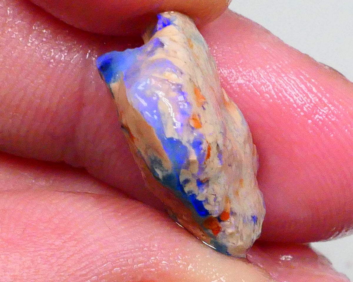 Bright Blues on this Knobby opal formation rough 11.50cts Carve Gamble or collect ? 19x16x7mm  Lot B4-A467