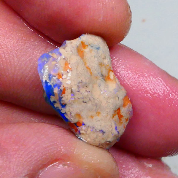 Bright Blues on this Knobby opal formation rough 11.50cts Carve Gamble or collect ? 19x16x7mm  Lot B4-A467