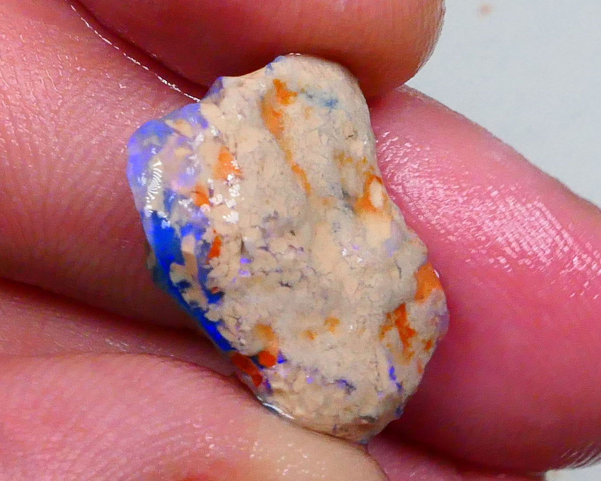 Bright Blues on this Knobby opal formation rough 11.50cts Carve Gamble or collect ? 19x16x7mm  Lot B4-A467