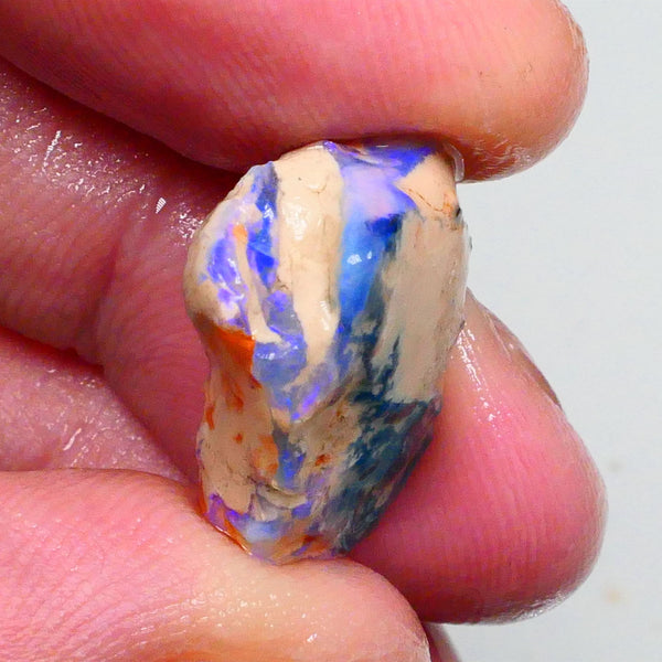 Bright Blues on this Knobby opal formation rough 11.50cts Carve Gamble or collect ? 19x16x7mm  Lot B4-A467