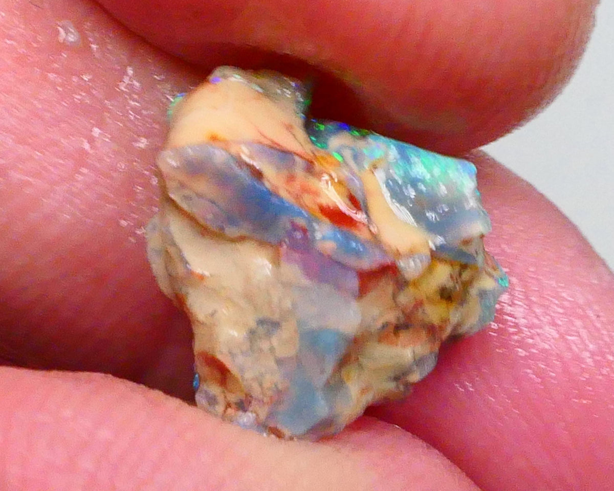 Exotic opal formation rough 3.40cts Bright & Gorgeous display of Green & Blue dominant fires collect or carve 19x11x6mm  Lot B4-A465