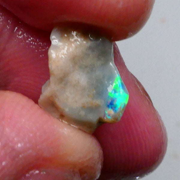 Little Knobby opal formation rough 2.75cts Tip of Crystal opal with Bright Green Electric fires 14x10x5mm Collect or cut a pointer Lot B4-A464