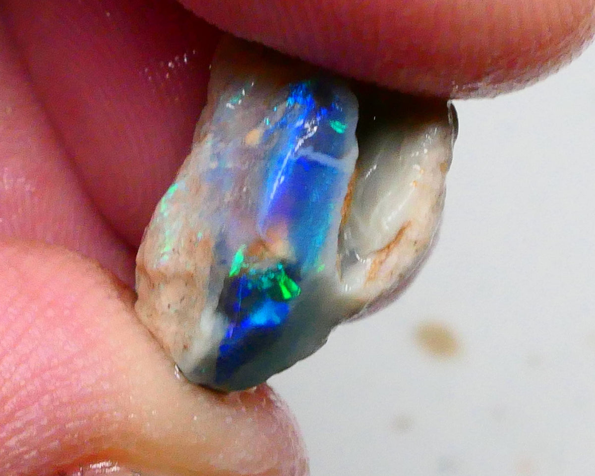 Clipped Black knobby opal rough 8.50cts Bright Green/Teal/Blue Directional fires 19x12x8mm Sold as gamble  Lot B4-A463