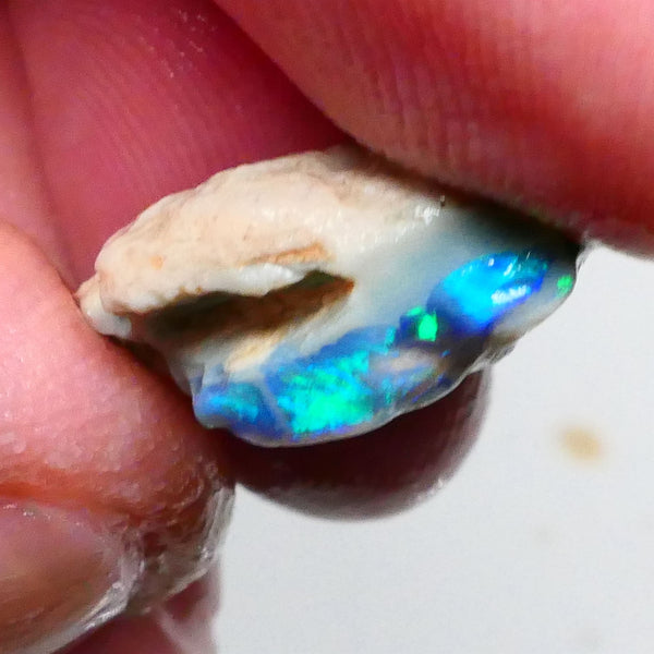 Clipped Black knobby opal rough 8.50cts Bright Green/Teal/Blue Directional fires 19x12x8mm Sold as gamble  Lot B4-A463