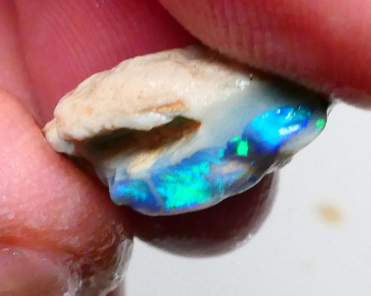 Clipped Black knobby opal rough 8.50cts Bright Green/Teal/Blue Directional fires 19x12x8mm Sold as gamble  Lot B4-A463