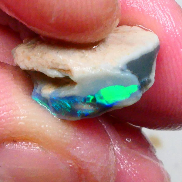 Clipped Black knobby opal rough 8.50cts Bright Green/Teal/Blue Directional fires 19x12x8mm Sold as gamble  Lot B4-A463