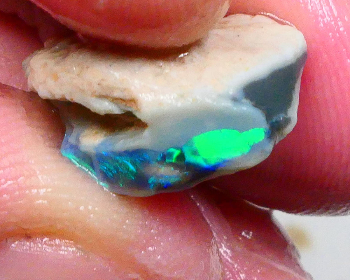 Clipped Black knobby opal rough 8.50cts Bright Green/Teal/Blue Directional fires 19x12x8mm Sold as gamble  Lot B4-A463