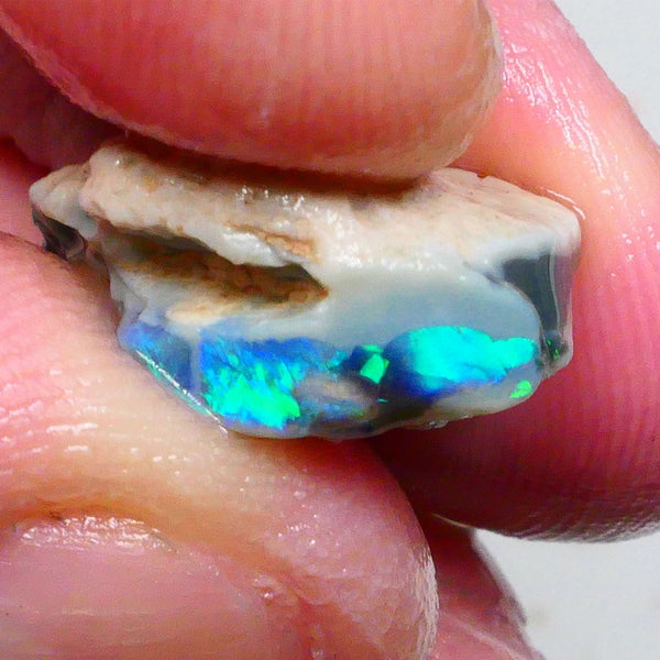 Clipped Black knobby opal rough 8.50cts Bright Green/Teal/Blue Directional fires 19x12x8mm Sold as gamble  Lot B4-A463