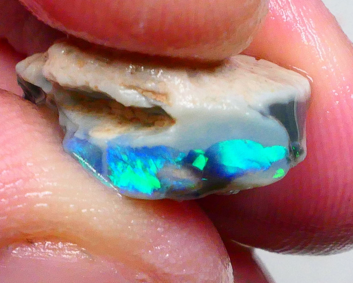 Clipped Black knobby opal rough 8.50cts Bright Green/Teal/Blue Directional fires 19x12x8mm Sold as gamble  Lot B4-A463