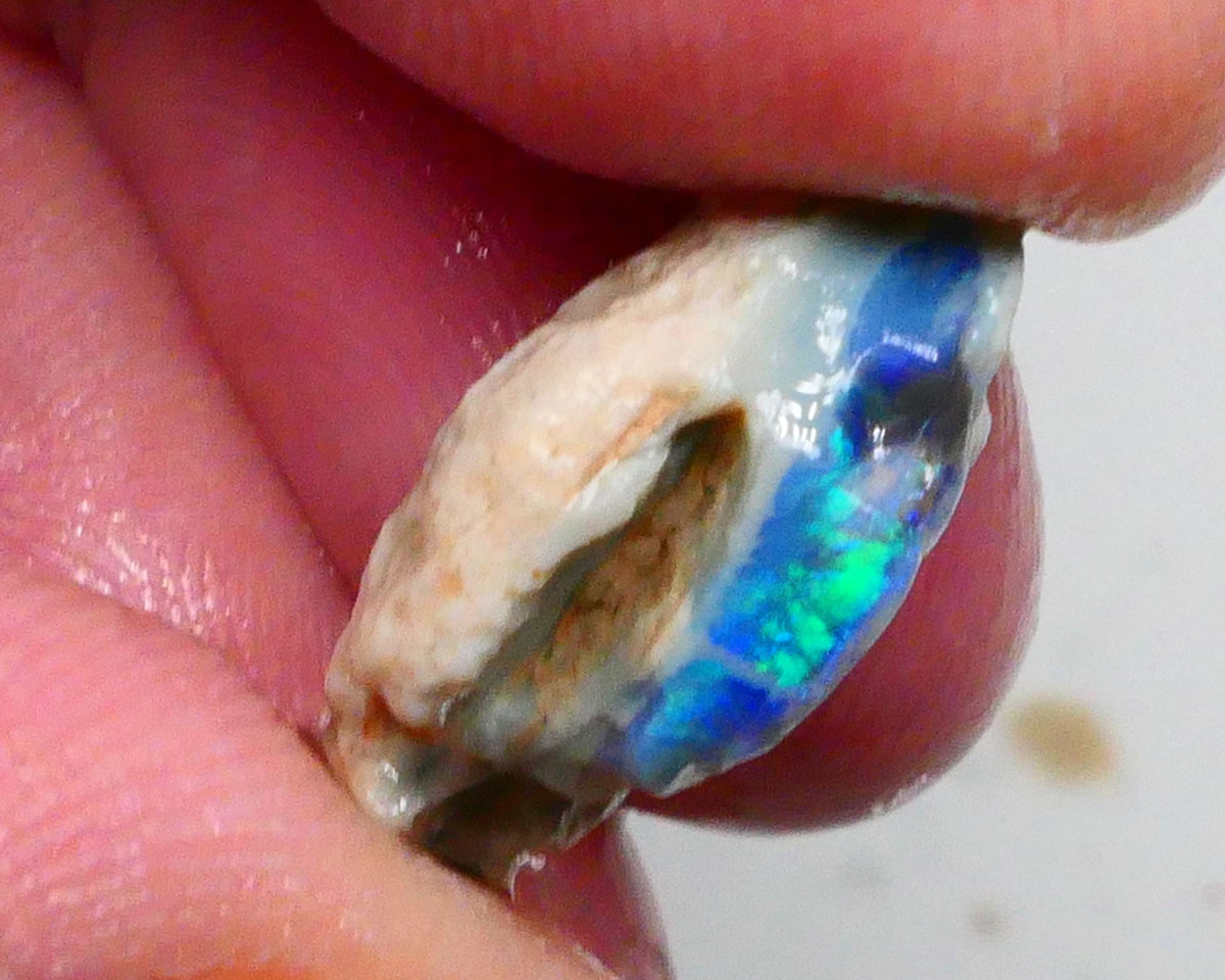 Clipped Black knobby opal rough 8.50cts Bright Green/Teal/Blue Directional fires 19x12x8mm Sold as gamble  Lot B4-A463