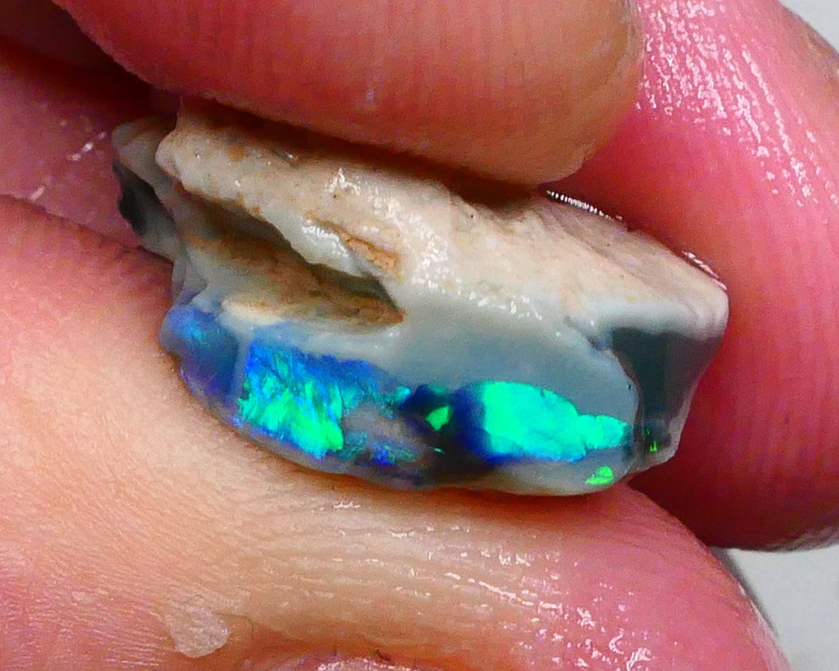 Clipped Black knobby opal rough 8.50cts Bright Green/Teal/Blue Directional fires 19x12x8mm Sold as gamble  Lot B4-A463
