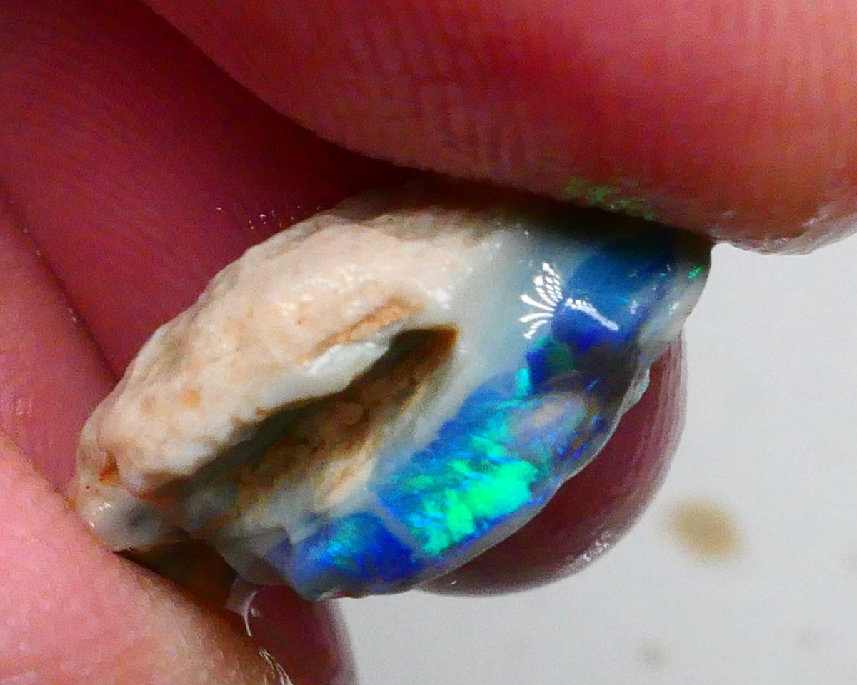Clipped Black knobby opal rough 8.50cts Bright Green/Teal/Blue Directional fires 19x12x8mm Sold as gamble  Lot B4-A463
