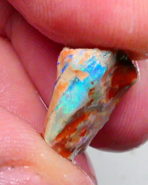 Gorgeous Multicolour knobby opal formation rough 6.25cts Lightning Ridge to collect or carve / gamble 16x14x7mm  Lot B4-A461