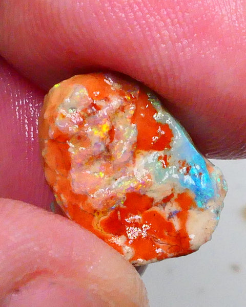 Gorgeous Multicolour knobby opal formation rough 6.25cts Lightning Ridge to collect or carve / gamble 16x14x7mm  Lot B4-A461