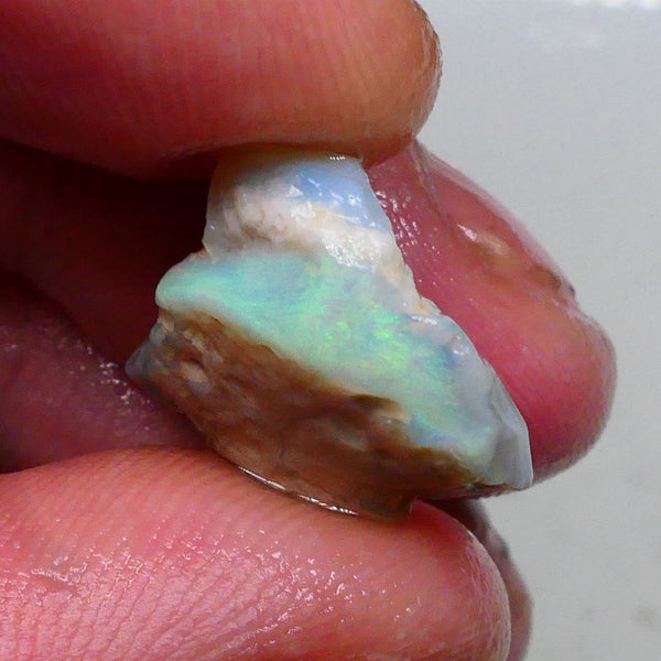 Green & Yellow dominant fires on this dark base seam opal rough 9.80cts Gamble cutter from Lighting Ridge 16x15x8mm  Lot B4-A483