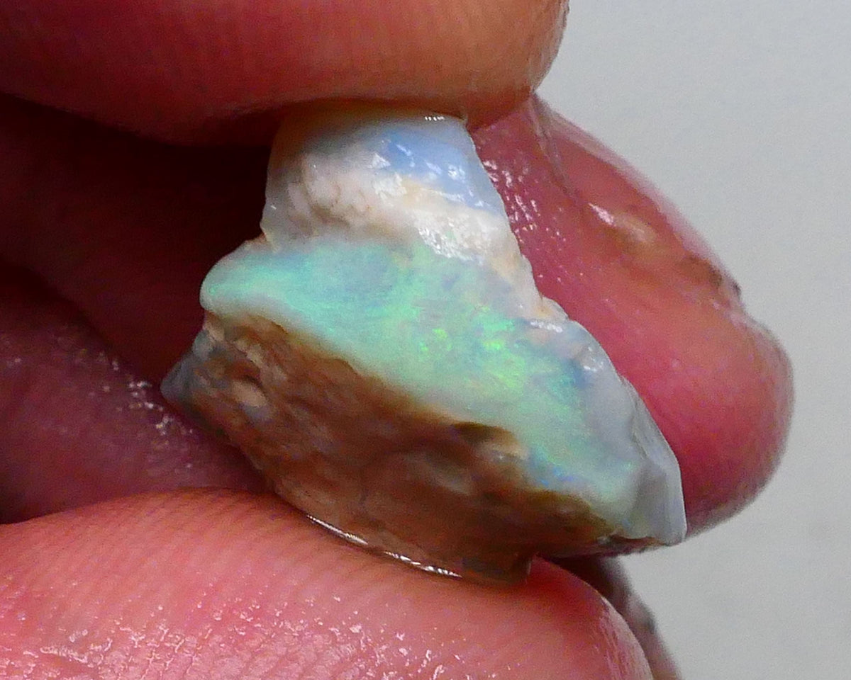 Green & Yellow dominant fires on this dark base seam opal rough 9.80cts Gamble cutter from Lighting Ridge 16x15x8mm  Lot B4-A483
