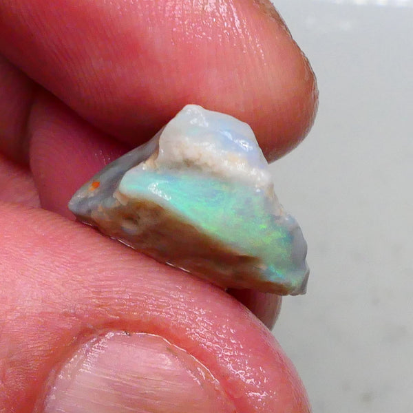 Green & Yellow dominant fires on this dark base seam opal rough 9.80cts Gamble cutter from Lighting Ridge 16x15x8mm  Lot B4-A483