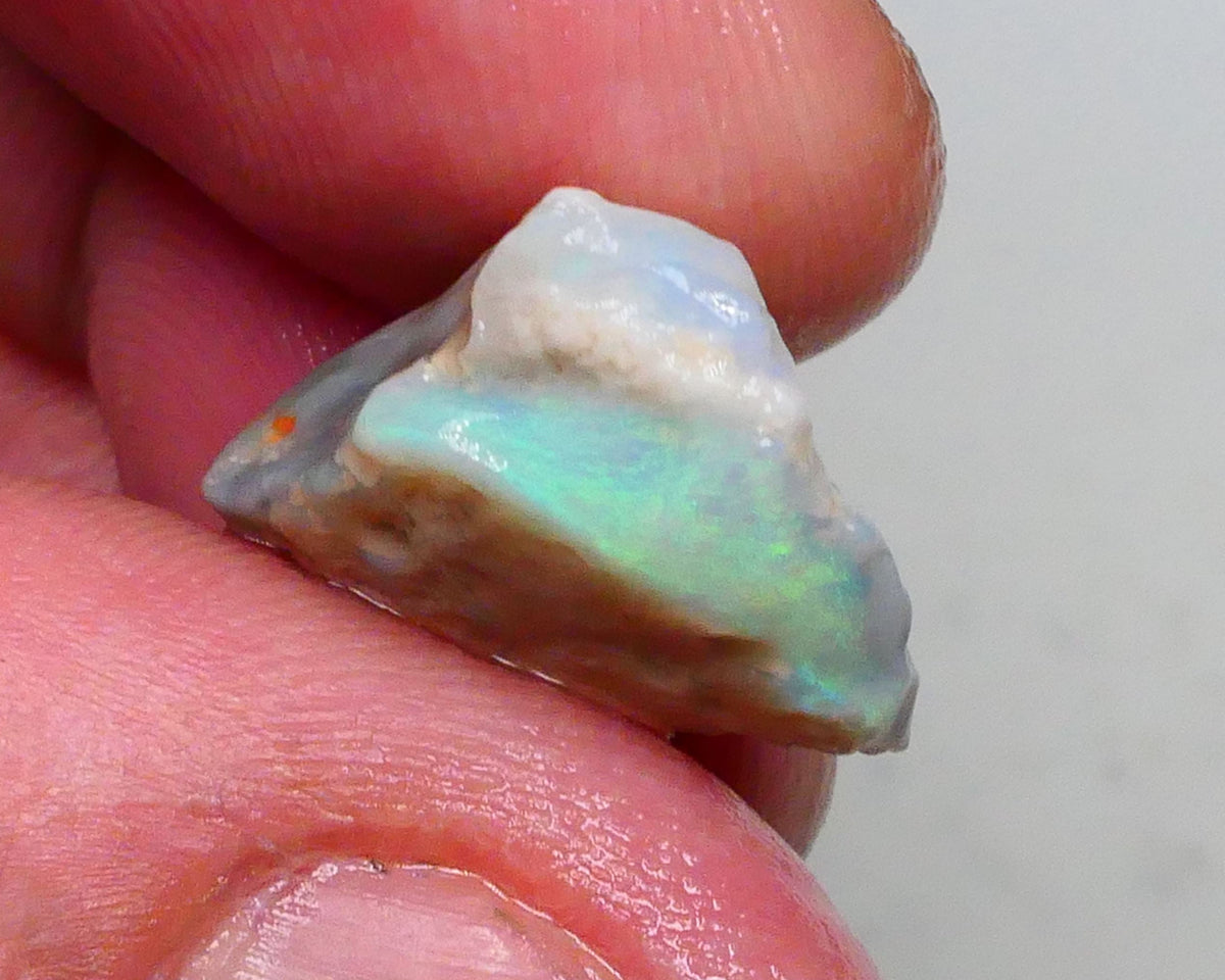 Green & Yellow dominant fires on this dark base seam opal rough 9.80cts Gamble cutter from Lighting Ridge 16x15x8mm  Lot B4-A483