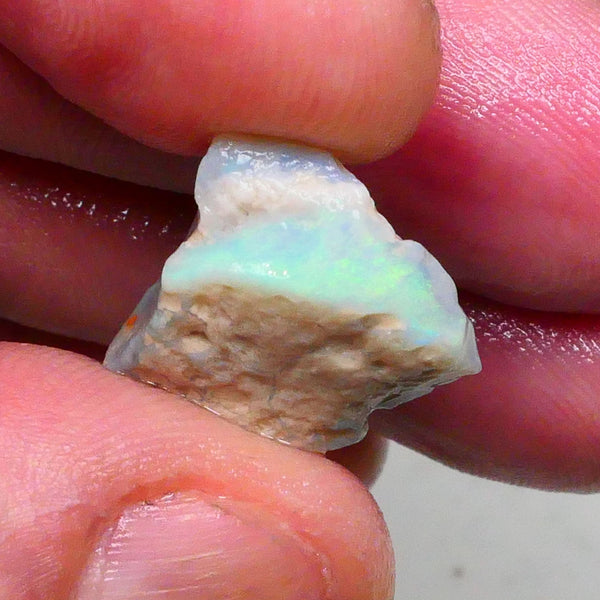 Green & Yellow dominant fires on this dark base seam opal rough 9.80cts Gamble cutter from Lighting Ridge 16x15x8mm  Lot B4-A483
