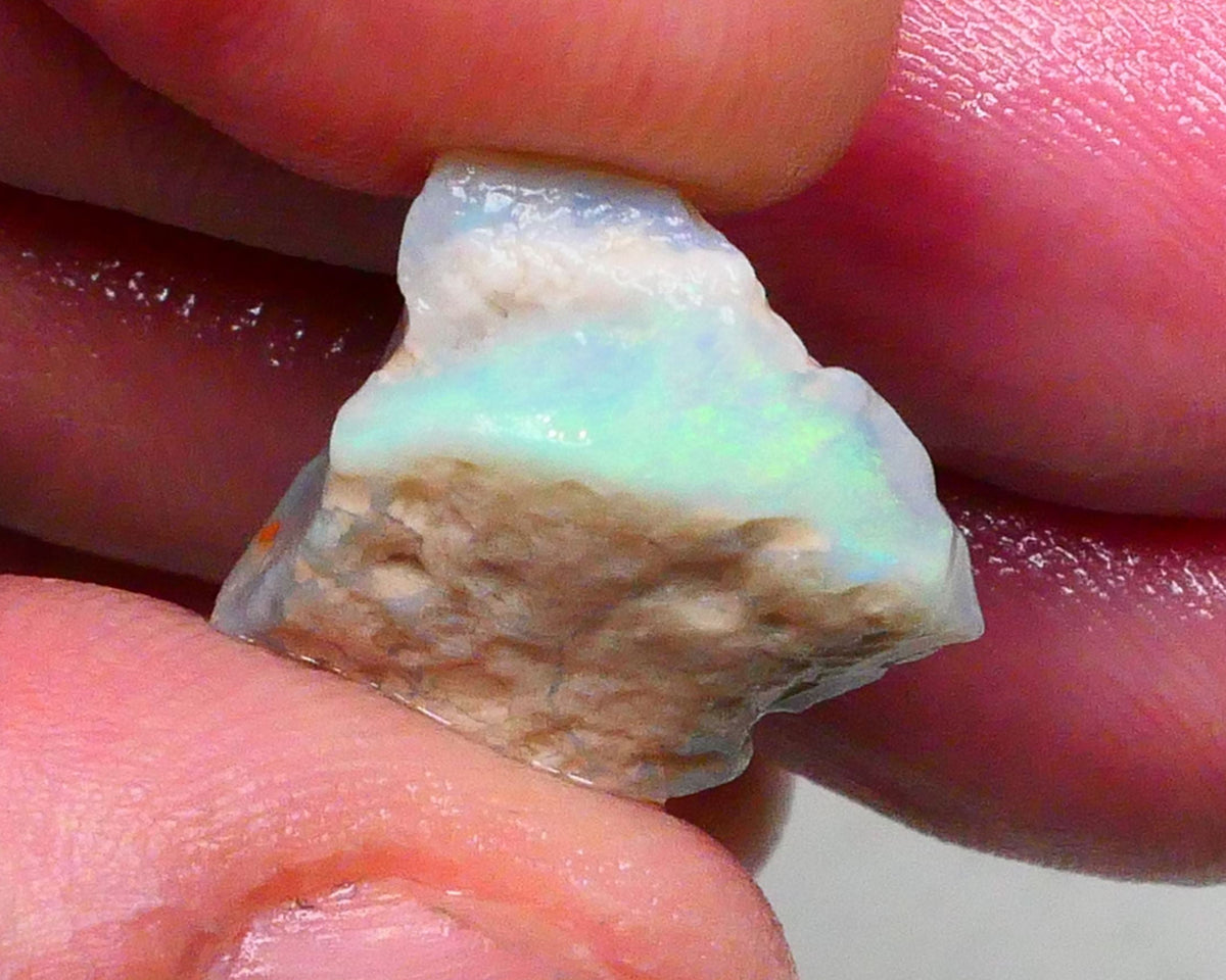 Green & Yellow dominant fires on this dark base seam opal rough 9.80cts Gamble cutter from Lighting Ridge 16x15x8mm  Lot B4-A483
