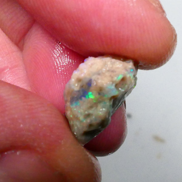 Multicolour knobby opal rough 6.50cts Lightning Ridge Sold as Gamble 14x11x9mm Lot B4-A502