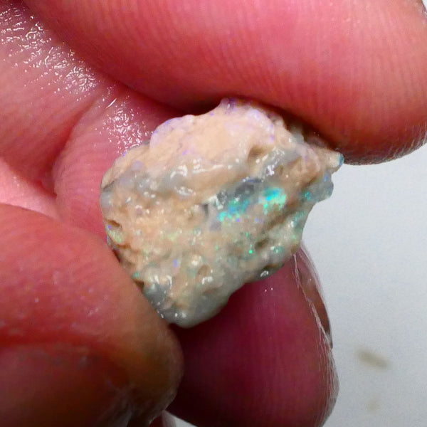 Multicolour knobby opal rough 6.50cts Lightning Ridge Sold as Gamble 14x11x9mm Lot B4-A502