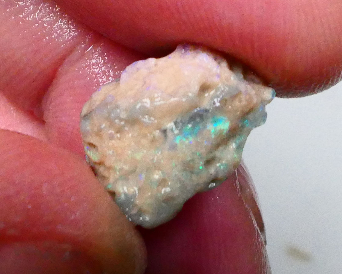 Multicolour knobby opal rough 6.50cts Lightning Ridge Sold as Gamble 14x11x9mm Lot B4-A502