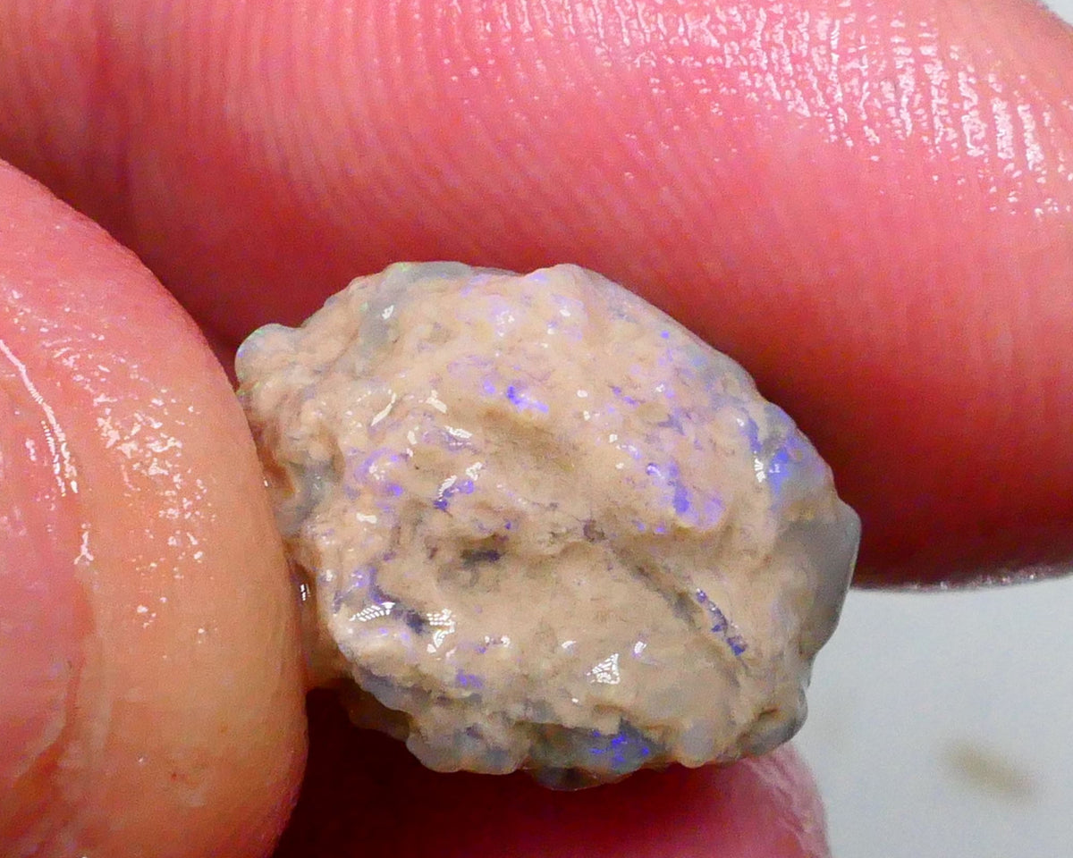 Multicolour knobby opal rough 6.50cts Lightning Ridge Sold as Gamble 14x11x9mm Lot B4-A502