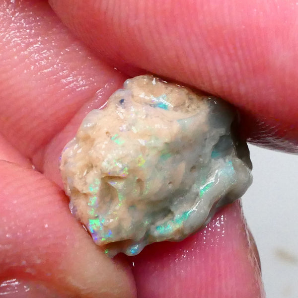 Multicolour knobby opal rough 6.50cts Lightning Ridge Sold as Gamble 14x11x9mm Lot B4-A502