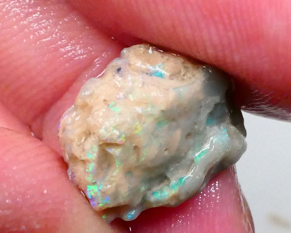 Multicolour knobby opal rough 6.50cts Lightning Ridge Sold as Gamble 14x11x9mm Lot B4-A502